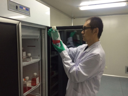 ����Ԥ֪���ϲ�����