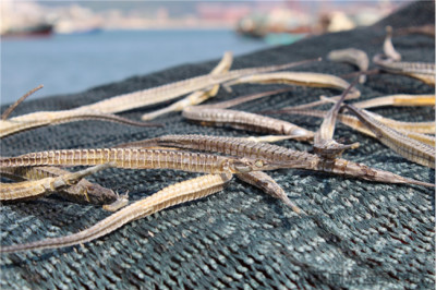 �人������ҽ�����״ι��������ݾ����䷽ ��������ʵ������