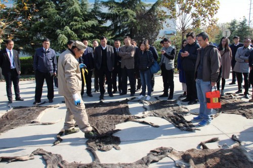 �����ã� DNA��Դ�����ܷ��Ϊ������ҩ����ȫ������