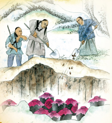 ���ذ����éҩ�ƵĹŷ�����