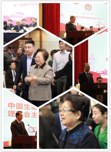 诺曼姿刘小俐当选中国生命关怀协会心身健康专委会执行主委