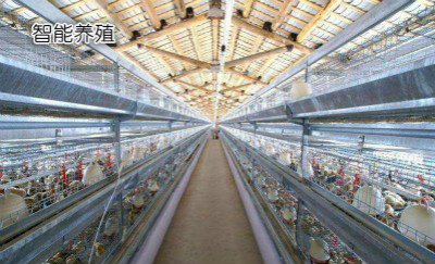 ���ܻ�������ֳϵͳ���ɹ��ػ������ò�˵������