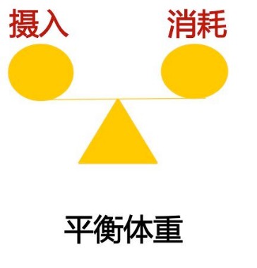 怎么减肥才科学?原来我们都进入了误区,缩胃手术是这样做的