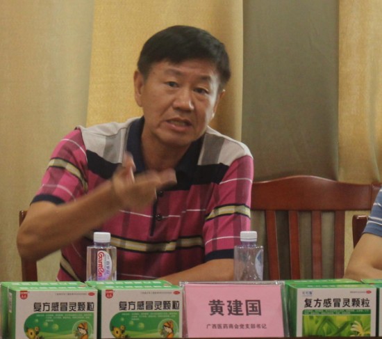 “凝聚共识迎变革 合作共赢促发展”大雁引领广西医药营销研讨会顺利召开