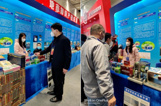 双蚁药业民族药壮药亮相第十二届广西发明创造成果展